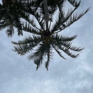 Meet your Posher, Chloe